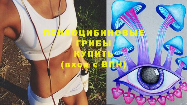 а пвп мука Алзамай