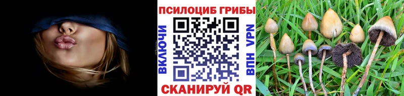 купить  сайты  Лахденпохья  Галлюциногенные грибы Cubensis 